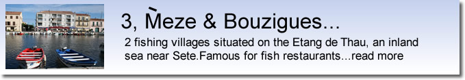 Meze and Bouzigues