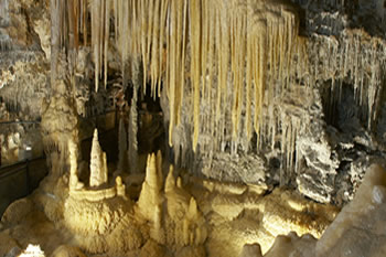 Caves of Clamouse and Les Demoiselles