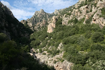 Parc Natural de Haut Languedoc