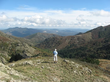 Parc Natural de Haut Languedoc