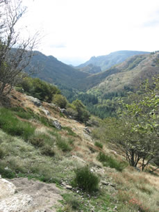 Parc Natural de Haut Languedoc