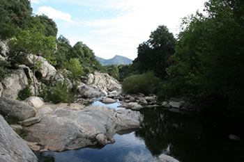 Parc Natural de Haut Languedoc