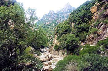 Parc Natural de Haut Languedoc