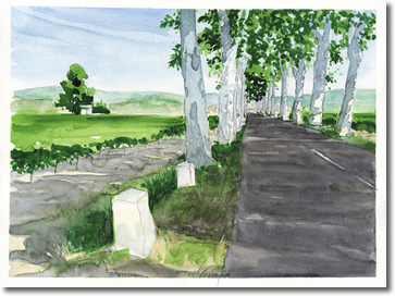 Water colour