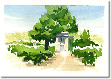 Water colour