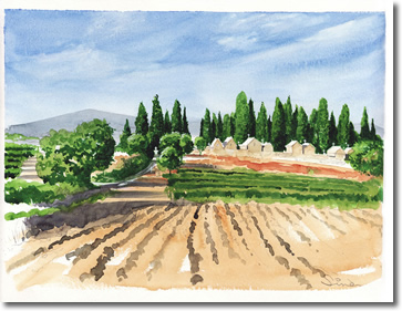 Water colour