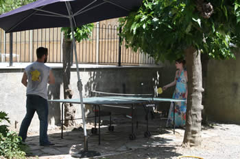 table tennis table